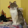 Отзыв от Динара Трошина